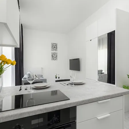 Apartamento Comfortable With Parking In By Renters Szczecin