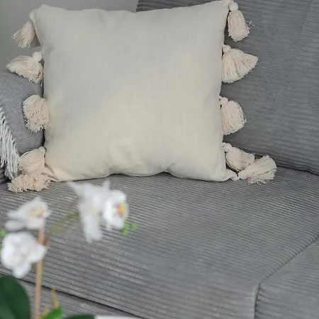 Apartamento Comfortable With Parking In By Renters