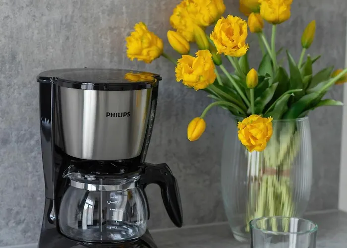 Comfortable With Parking In By Renters شقة