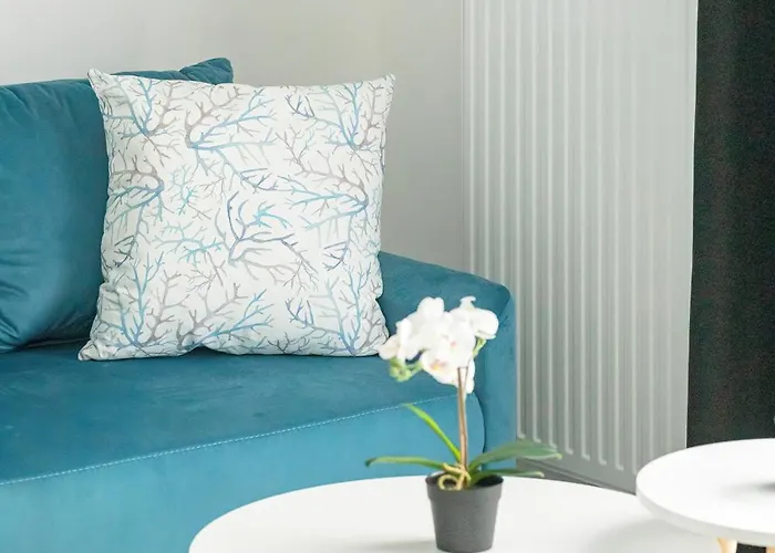 Comfortable With Parking In By Renters Estetino