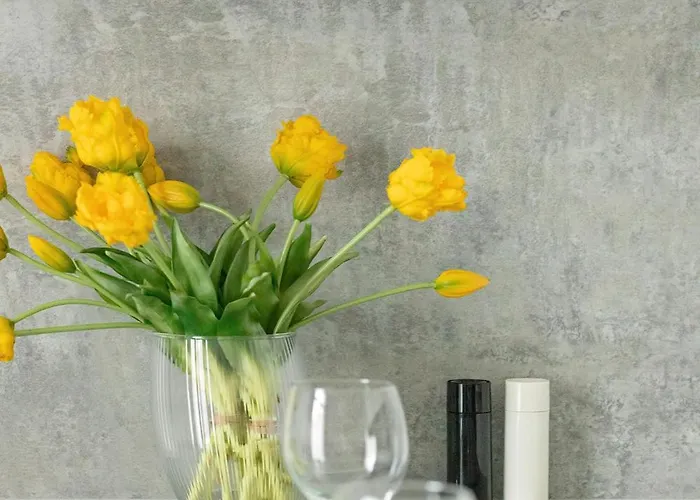 Comfortable With Parking In By Renters Apartament